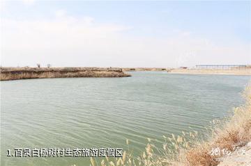 百泉白杨树村生态旅游度假区照片