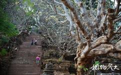 老挝占巴塞瓦普庙旅游攻略之石阶