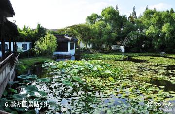 吳江鶯湖文化旅遊區-鶯湖園照片