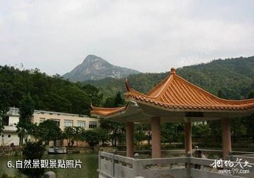 臨江花山國家森林公園-自然景觀照片