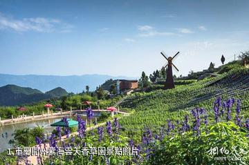 重慶開州紫海雲天香草園照片