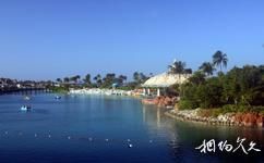 巴哈马天堂岛旅游攻略之水族馆
