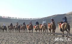敦煌鳴沙山月牙泉旅遊攻略之騎駱駝