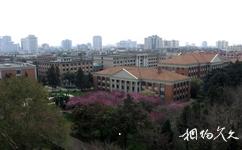 雲南大學校園概況之東陸園