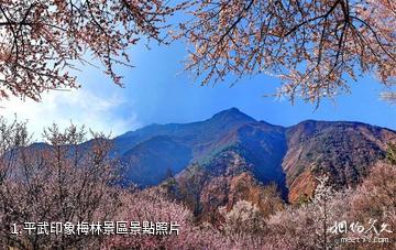 平武印象梅林景區照片