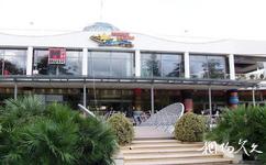 阿尔巴尼亚地拉那市旅游攻略之赌场