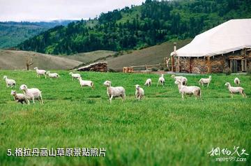 麗江老君山-格拉丹高山草原照片