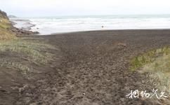 紐西蘭鳥島旅遊攻略之黑沙灘