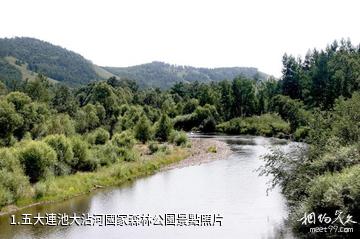 五大連池大沾河國家森林公園照片