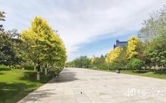 昌吉滨湖河旅游攻略之绿化