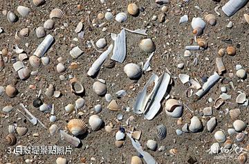 天津古海岸與濕地國家級自然保護區-貝殼堤照片