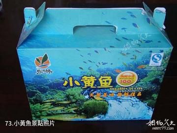 江蘇永豐林農業生態園-小黃魚照片