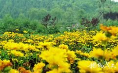 天津南翠屏公园旅游攻略之植被