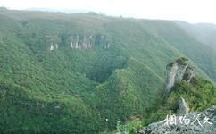 重庆仙女山国家森林公园旅游攻略之仙女石