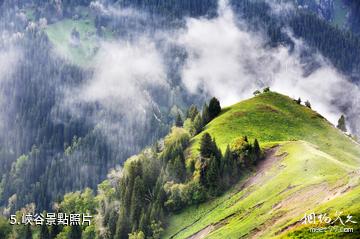 伊犁托乎拉蘇風景區-峽谷照片