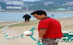 青岛第一海水浴场旅游攻略之防鲨网