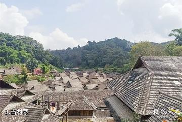 普洱景迈山茶林文化景区-古村寨照片