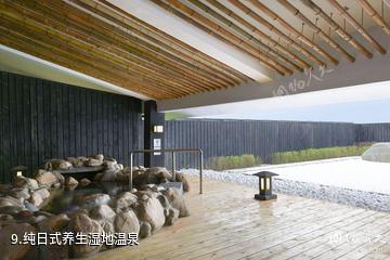 齐齐哈尔鹤之汤温泉度假区-纯日式养生湿地温泉照片