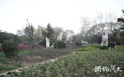 臨沂人民公園旅遊攻略之花卉盆景區