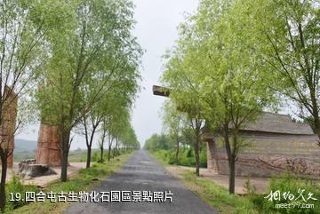 遼寧朝陽鳥化石國家地質公園-四合屯古生物化石園區照片