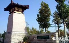 滄州名人植物園旅遊攻略之名人植物園
