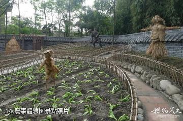 成都農科村旅遊景區-農事體驗園照片