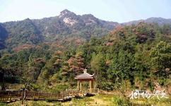 湖南郴州莽山国家森林公园旅游攻略之生态广场