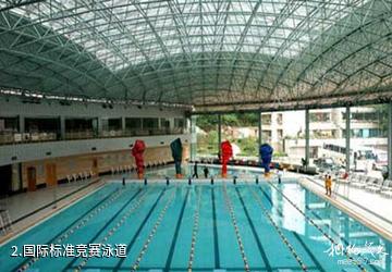 本溪金海水晶宫-国际标准竞赛泳道照片