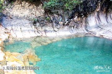 福建雄江黃楮林國家級自然保護區-黃楮林溫泉照片