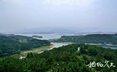 武漢黃陂木蘭湖旅遊攻略之鷺鳥森林公園