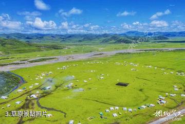 阿壩漫澤塘景區-草原照片