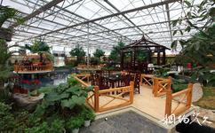 蔡甸金龙水寨旅游攻略之生态餐厅
