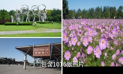 北京奥林匹克森林公园驴友相册