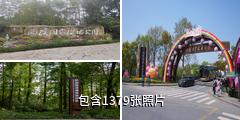 杭州西溪国家湿地公园驴友相册