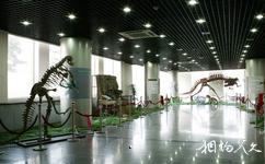 中国古动物馆旅游攻略之东厅特展展厅