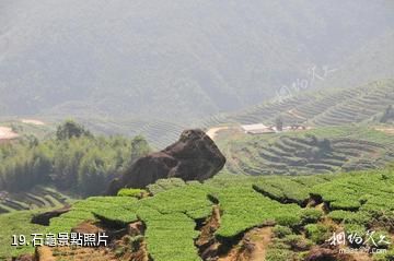 泉州紫雲山風景區-石龜照片