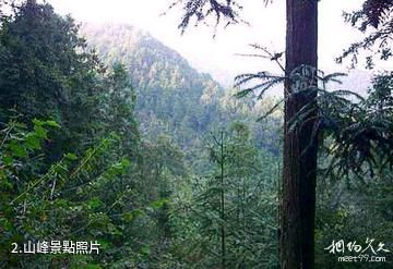 武漢素山寺森林公園-山峰照片