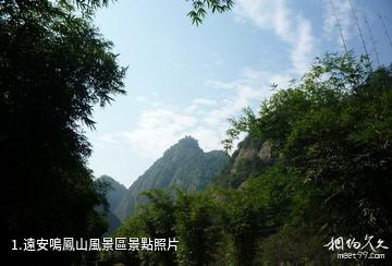 遠安鳴鳳山風景區照片