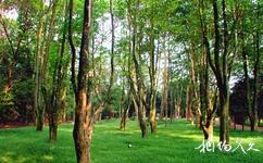 舒兰市森林公园旅游攻略之森林浴场