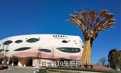 云南澄江化石地自然博物馆驴友相册
