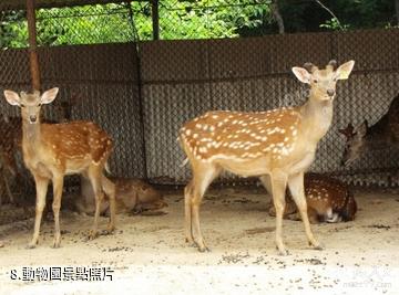 唐山燕東生態觀光園-動物園照片