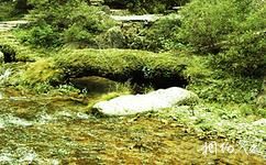 山西阳城蟒河猕猴国家级自然保护区旅游攻略之仙人桥
