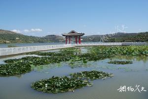 甘肅隴南西和姜席旅遊景點大全