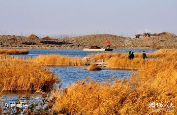 寿光洰淀湖风景区-芦苇荡照片