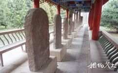 合水隴東古石刻藝術博物館旅遊攻略之歷代古刻