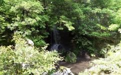 日本金阁寺旅游攻略之岩下水