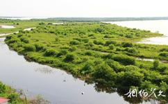 黑龙江八岔岛国家级自然保护区旅游攻略