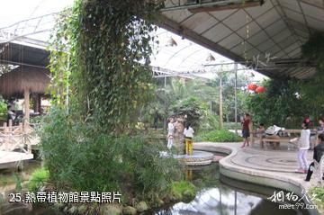 昌邑綠博園-熱帶植物館照片