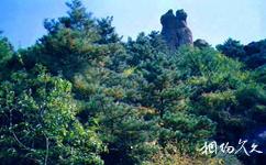 魯山國家森林公園旅遊攻略之將軍石