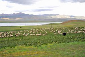 西藏山南措美旅游攻略-措美县景点排行榜